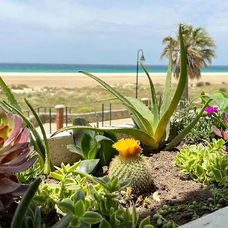Cozy House - Beachfront, Stylish Deco * Tarifa