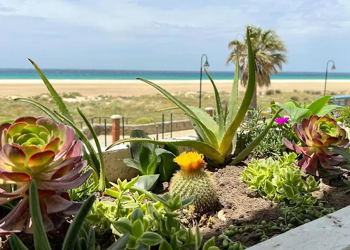 Cozy House - Beachfront, Stylish Deco * Ταρίφα